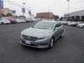 Shale Gray Metallic - Sonata Eco Photo No. 1