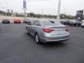 Shale Gray Metallic - Sonata Eco Photo No. 4