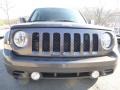 Granite Crystal Metallic - Patriot Sport Photo No. 9