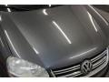 Platinum Grey Metallic - Jetta S Sedan Photo No. 42