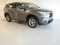 Predawn Gray Mica - Highlander XLE Photo No. 4