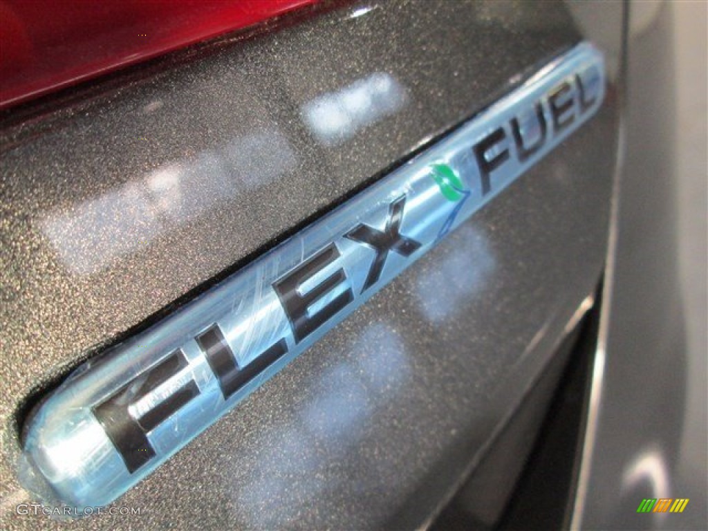 2015 Taurus SE - Magnetic Metallic / Dune photo #7