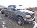 2002 Dark Shadow Grey Metallic Ford F150 XLT SuperCab 4x4  photo #1