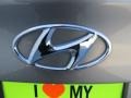 Desert Bronze - Elantra GLS Photo No. 13