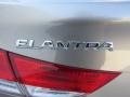 Desert Bronze - Elantra GLS Photo No. 14