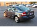 Barents Blue Metallic - S40 2.4i Photo No. 5