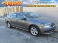 Tungsten Silver Metallic 2013 Volkswagen Passat 2.5L SE