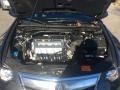 Graphite Luster Pearl - TSX Sedan Photo No. 31