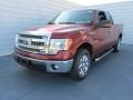 2014 Sunset Ford F150 XLT SuperCab  photo #7