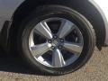 Palladium Metallic - MDX SH-AWD Technology Photo No. 29