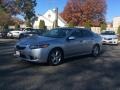 Silver Moon - TSX Sedan Photo No. 7