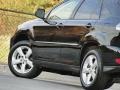 2007 Black Onyx Lexus RX 350  photo #32