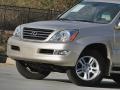 2006 Savannah Beige Metallic Lexus GX 470  photo #48