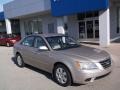 Camel Pearl - Sonata GLS Photo No. 10