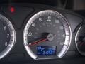 Camel Pearl - Sonata GLS Photo No. 20