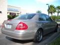 Pewter Metallic - E 320 Sedan Photo No. 6