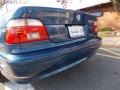 Blue Water Metallic - 5 Series 530i Sedan Photo No. 13