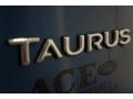 Blue Metallic - Taurus SEL Photo No. 67