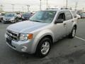 2010 Ingot Silver Metallic Ford Escape XLT  photo #2