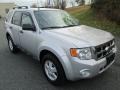 Ingot Silver Metallic 2010 Ford Escape XLT Exterior