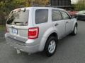 2010 Ingot Silver Metallic Ford Escape XLT  photo #6