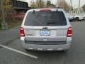 2010 Ingot Silver Metallic Ford Escape XLT  photo #7