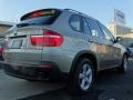 Platinum Bronze Metallic - X5 3.0si Photo No. 4