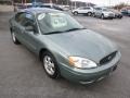 2006 Light Tundra Metallic Ford Taurus SE  photo #2