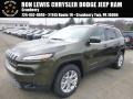 2015 ECO Green Pearl Jeep Cherokee Latitude 4x4  photo #1