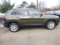 2015 ECO Green Pearl Jeep Cherokee Latitude 4x4  photo #6