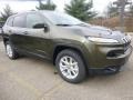 ECO Green Pearl 2015 Jeep Cherokee Latitude 4x4 Exterior