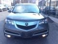 Polished Metal Metallic - MDX SH-AWD Technology Photo No. 2