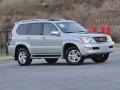 Silver Pine Metallic - GX 470 Photo No. 5