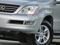 Silver Pine Metallic - GX 470 Photo No. 40