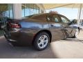 2015 Granite Crystal Metallic Dodge Charger SE  photo #3