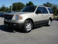 Pueblo Gold Metallic - Expedition XLT Photo No. 2
