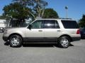 Pueblo Gold Metallic - Expedition XLT Photo No. 3