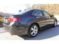 Graphite Luster Metallic - TSX Technology Photo No. 4