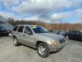 Front 3/4 View of 2002 Grand Cherokee Sport 4x4