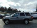 2002 Light Pewter Metallic Jeep Grand Cherokee Sport 4x4  photo #6