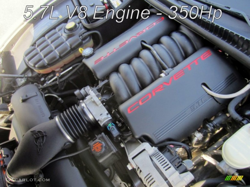 2001 Corvette Convertible - Speedway White / Light Oak photo #12