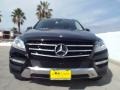 Black - ML 350 Photo No. 2