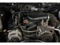 Sandalwood Metallic - S10 LS Crew Cab 4x4 Photo No. 31