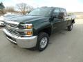 2015 Rainforest Green Metallic Chevrolet Silverado 2500HD WT Crew Cab 4x4  photo #3