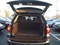 Sparkling Bronze Metallic - X5 xDrive 35i Photo No. 9