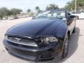 Black - Mustang V6 Premium Convertible Photo No. 15