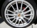 GT Silver Metallic - Boxster RS 60 Spyder Photo No. 9