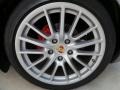 GT Silver Metallic - Boxster RS 60 Spyder Photo No. 10