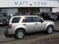 2009 Brilliant Silver Metallic Ford Escape XLT V6 4WD  photo #1