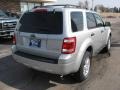 2009 Brilliant Silver Metallic Ford Escape XLT V6 4WD  photo #2